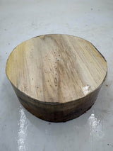 Silver Wattle Bowl Blank 150 x 60mm
