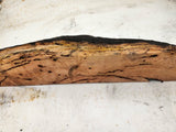 Forest Red Gum Burl 520x140x90mm