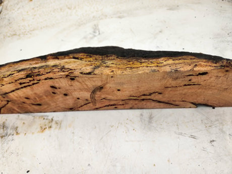 Forest Red Gum Burl 520x140x90mm