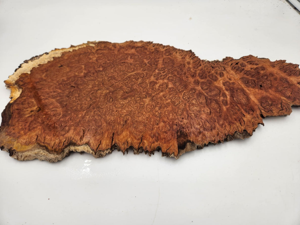 Red Coolibah Burl Slice 400mmx250mmx10mm
