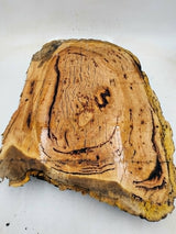 River Red Gum Burl 490mmx350mmx65mm