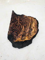 Forest Red Gum Burl 200x180x55mm