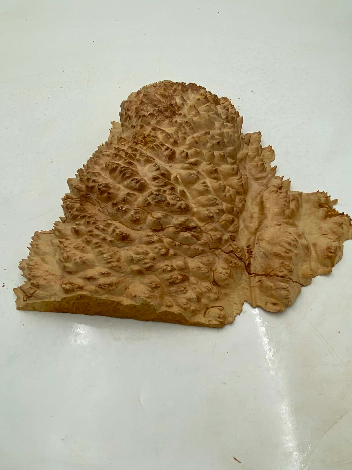 Red Mallee Burl 300 x 280 x 70mm
