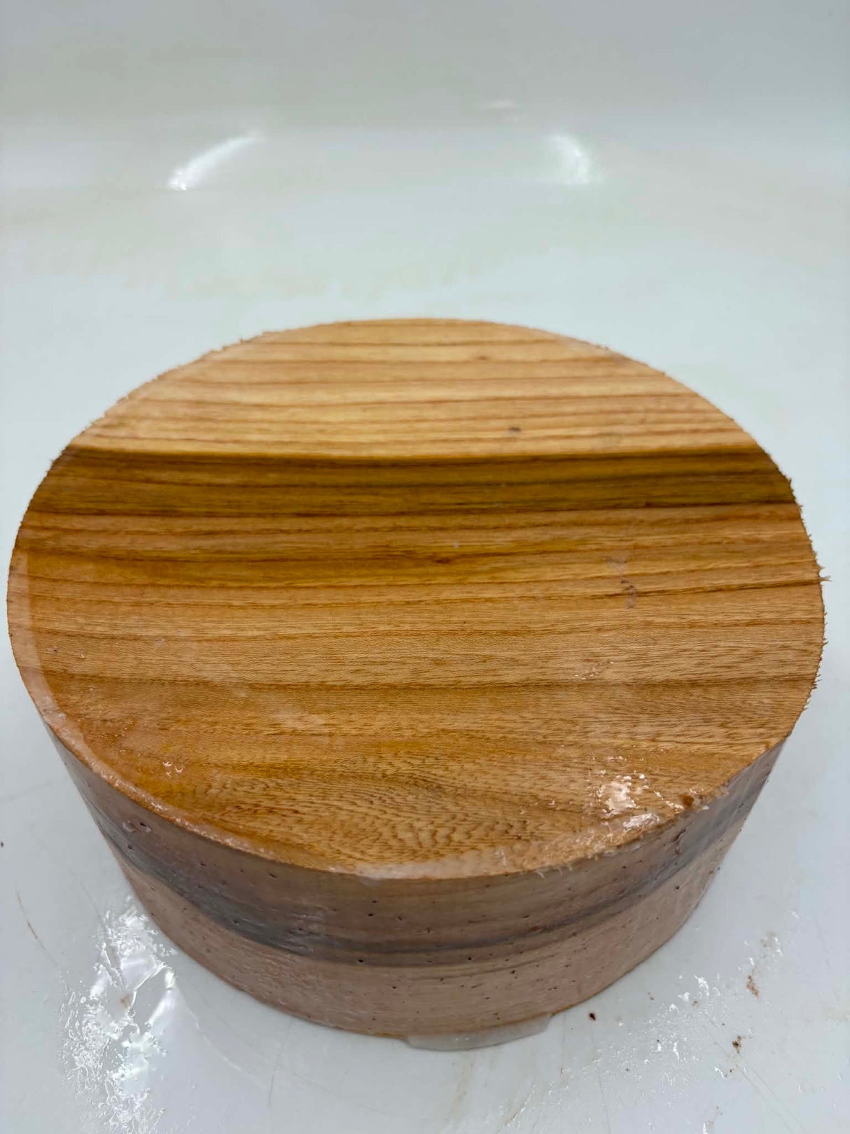 Golden Elm Bowl Blank 200 x 85mm