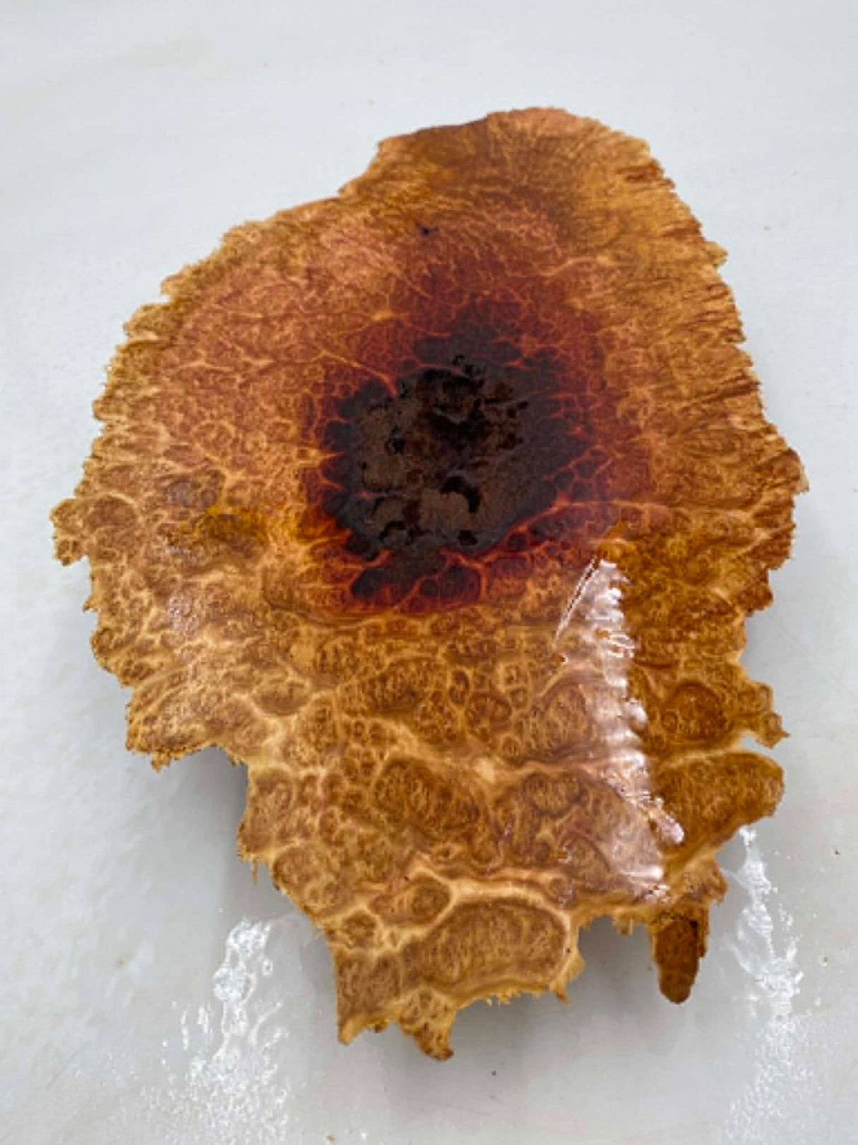 Red Mallee Burl 370 x 220 x 40mm