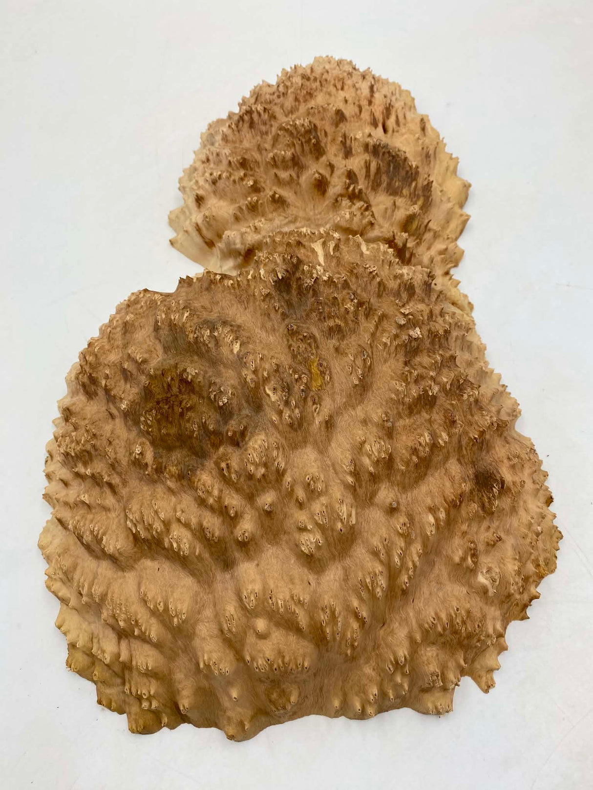 Red Mallee Burl 380 x 200 x 60mm