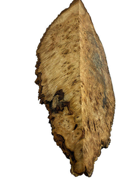 Desert Ash Burl (wet) 500 x 50 x 190mm