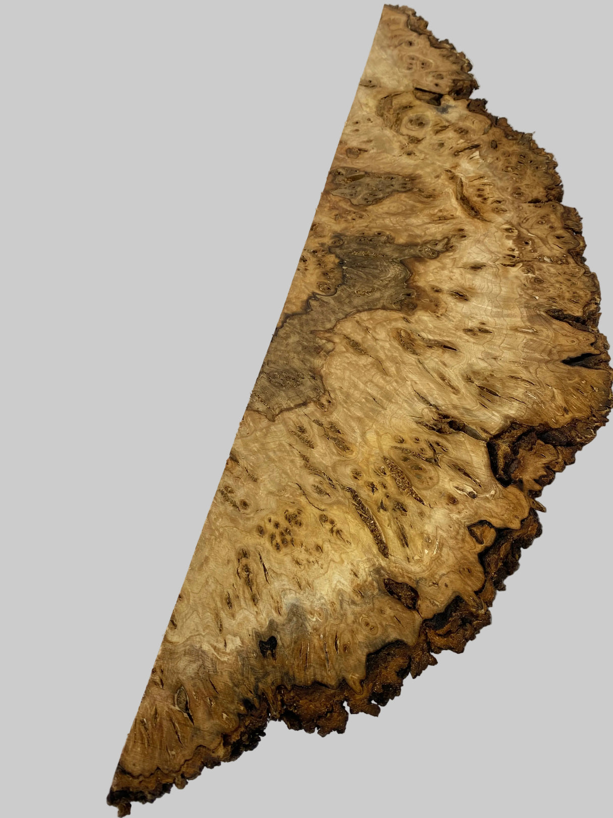Desert Ash Burl (wet) 600 x 220 x 180mm