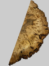 Desert Ash Burl (wet) 600 x 220 x 180mm