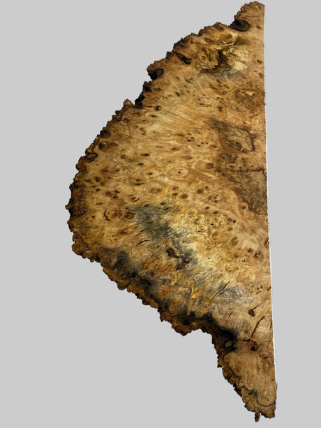 Desert Ash Burl (wet) 600 x 220 x 180mm