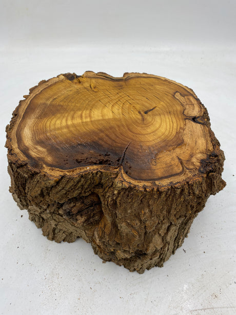Mulberry End Grain Block 240 x 250 x 100mm