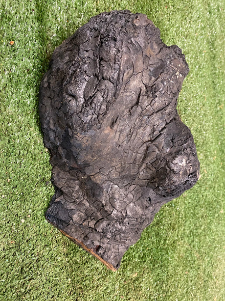 Forest Red Gum Burl 250 x 170 x 100mm