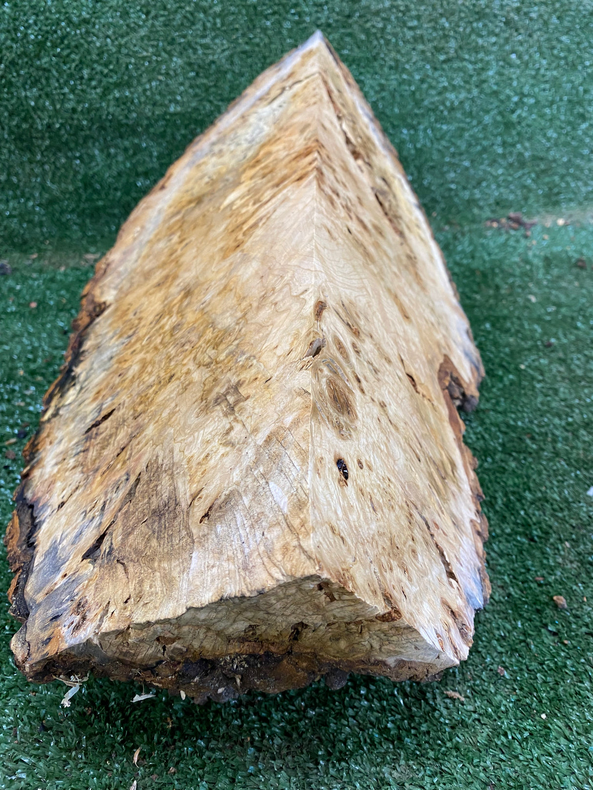 Desert Ash Burl (wet) 480 x 210 x 200mm