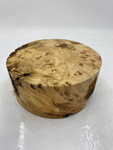 Desert Ash Burl (wet) 200 x 90mm