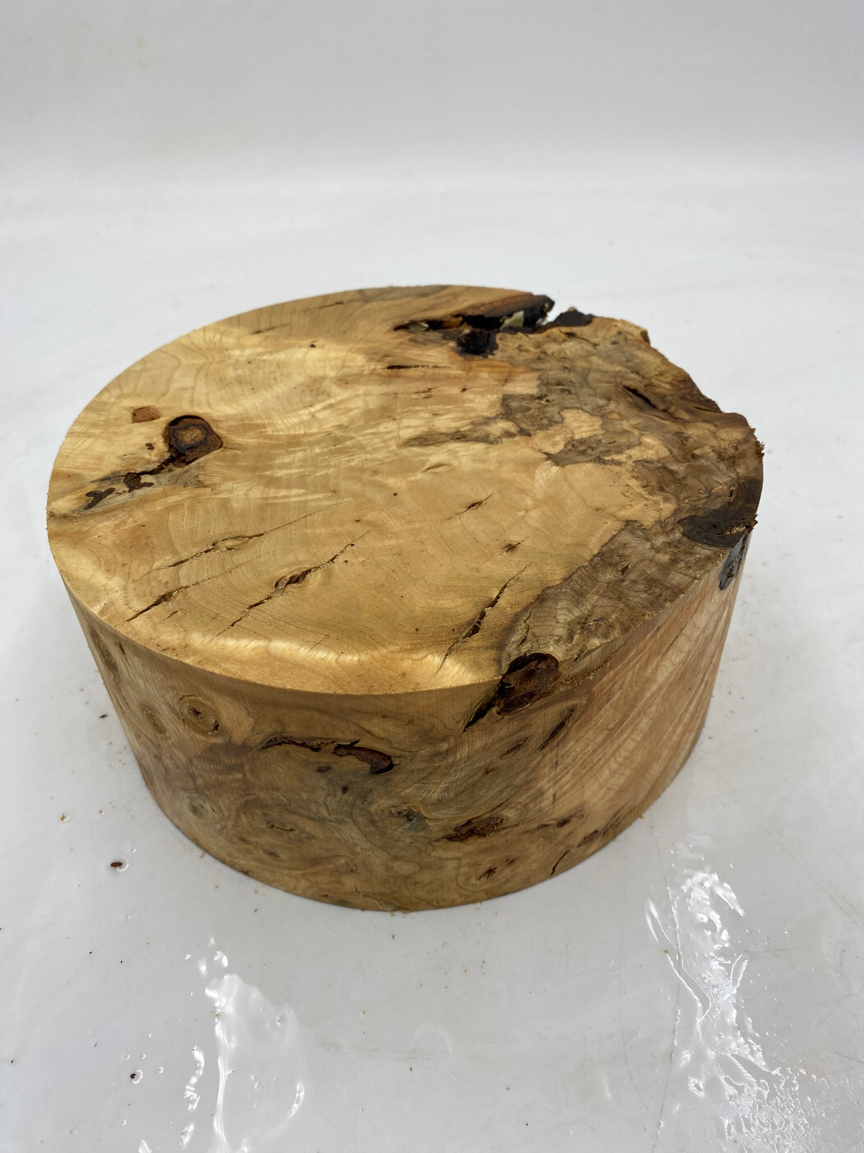 Desert Ash Burl (wet) 200 x 90mm