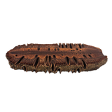 Banksia Nut Slice