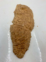 Red Mallee Burl 370 x 150 x 50mm