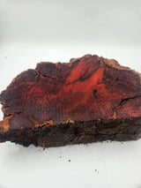 Red Gum Burl 350mmx220mmx80mm