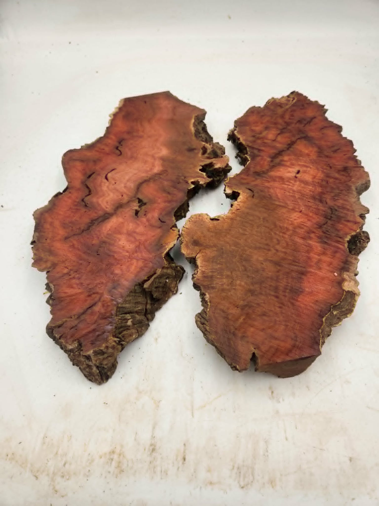 Myrtle Burl Pair (2) 400 x 170 x 35mm