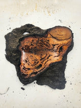 Forest Red Gum Burl 430mmx340mmx55mm