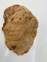 Red Mallee Burl 330 x 200 x 70mm