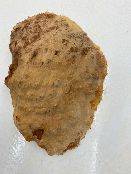 Red Mallee Burl 330 x 200 x 70mm