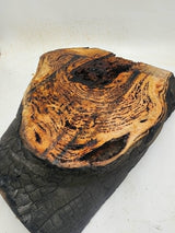Forest Red Gum Burl 400x300x90mm