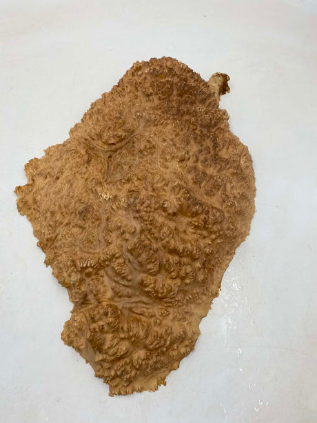 Red Mallee Burl 420 x 310 x 60mm