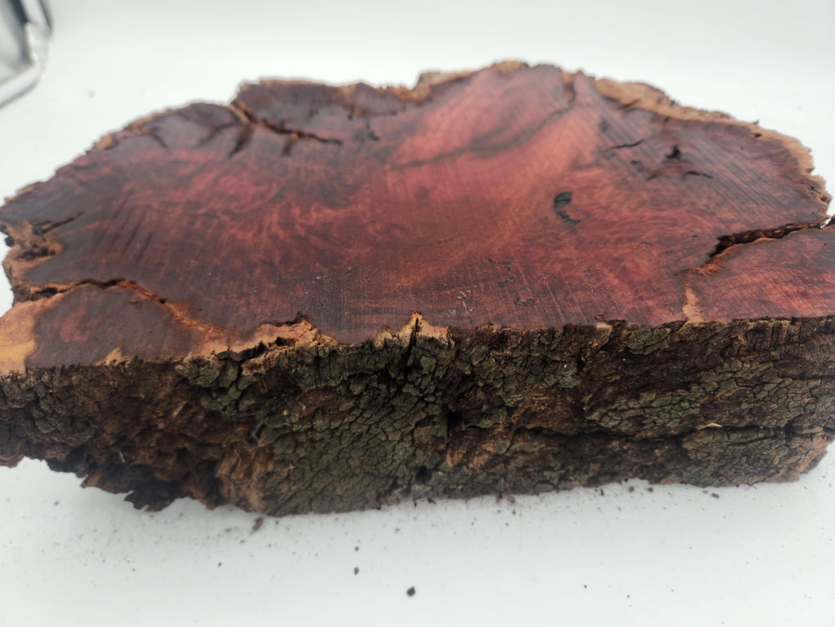 Red Gum Burl 350mmx220mmx80mm
