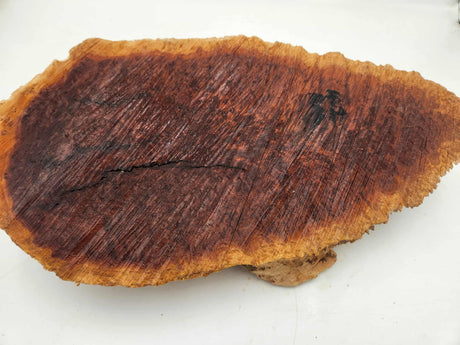 Red Mallee Burl 400mmx220mmx80mm