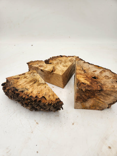 Desert Ash Burl Off Cuts (approx 100 x 80 x 50mm)