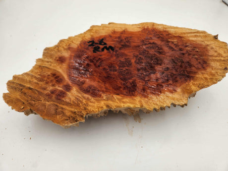 Red Mallee Burl 300mmx180mmx55mm
