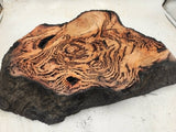 Forest Red Gum Burl 470x350x75
