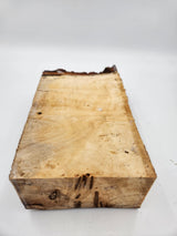 Poplar Burl Block 180mmx120mmx70mm