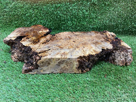 Peppercorn Burl 400 x 180 x 60mm