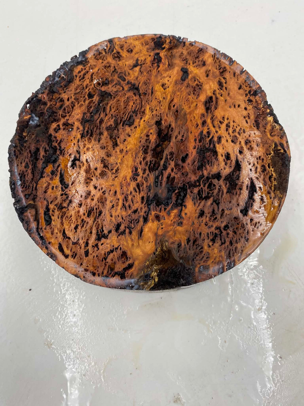 River Red Gum Burl Bowl Blank 180 x 60mm