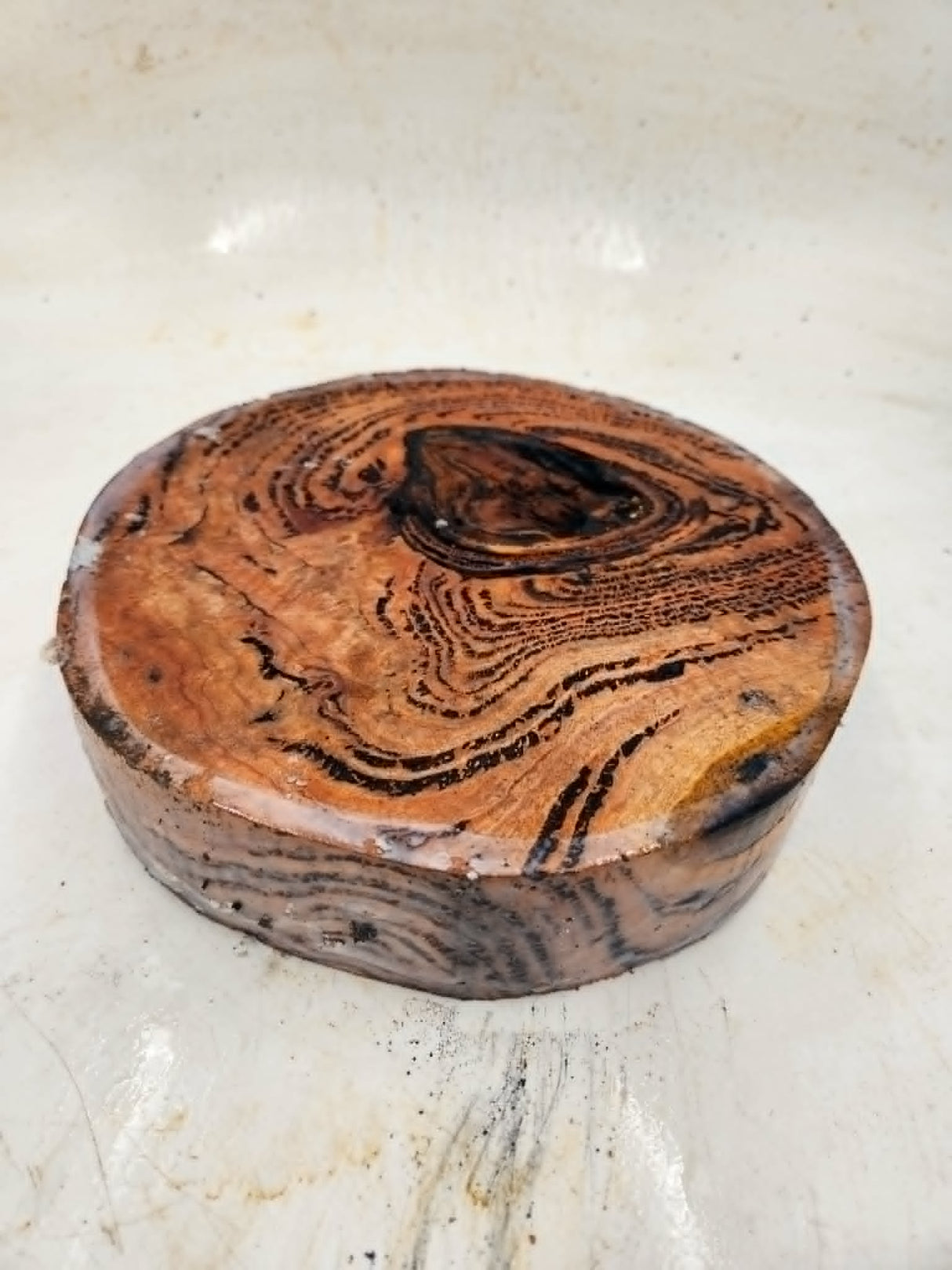 Forest Red Gum Burl Bowl Blank 220x220x50mm