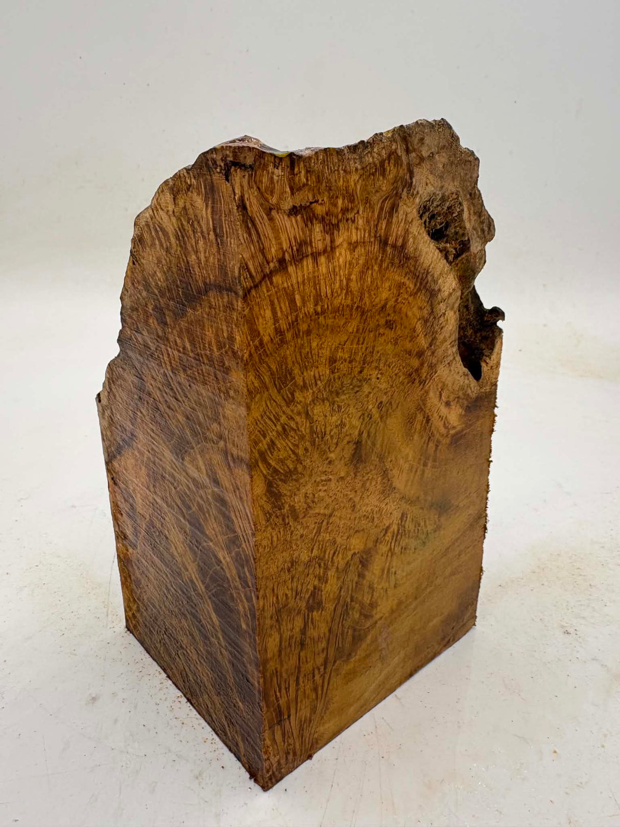 Musk Burl 170 x 90 x 100mm