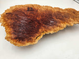 Red Mallee Burl 370mmx200mmx60mm