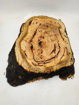 River Red Gum Burl 490mmx350mmx65mm