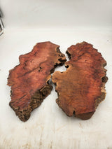 Myrtle Burl Pair (2) 400 x 170 x 35mm