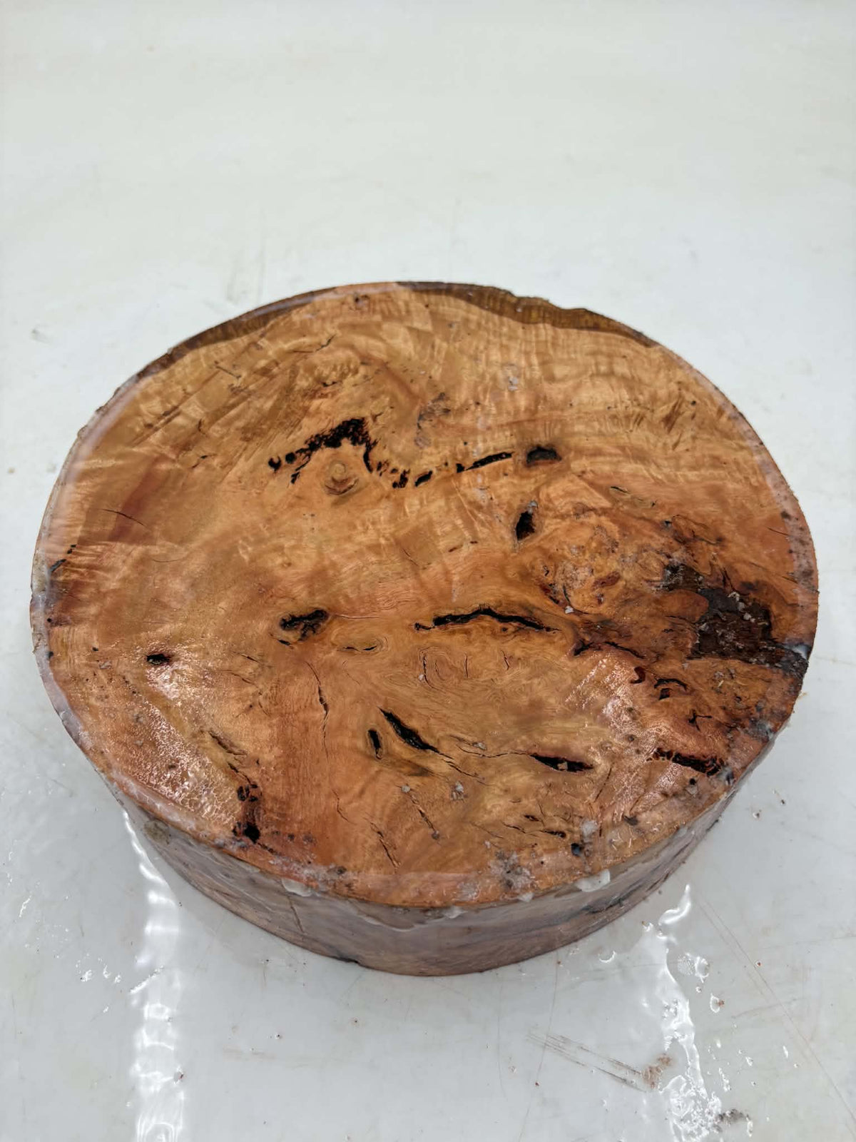 Manna Gum Burl Bowl Blank 220 x 70mm