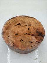 Manna Gum Burl Bowl Blank 220 x 70mm