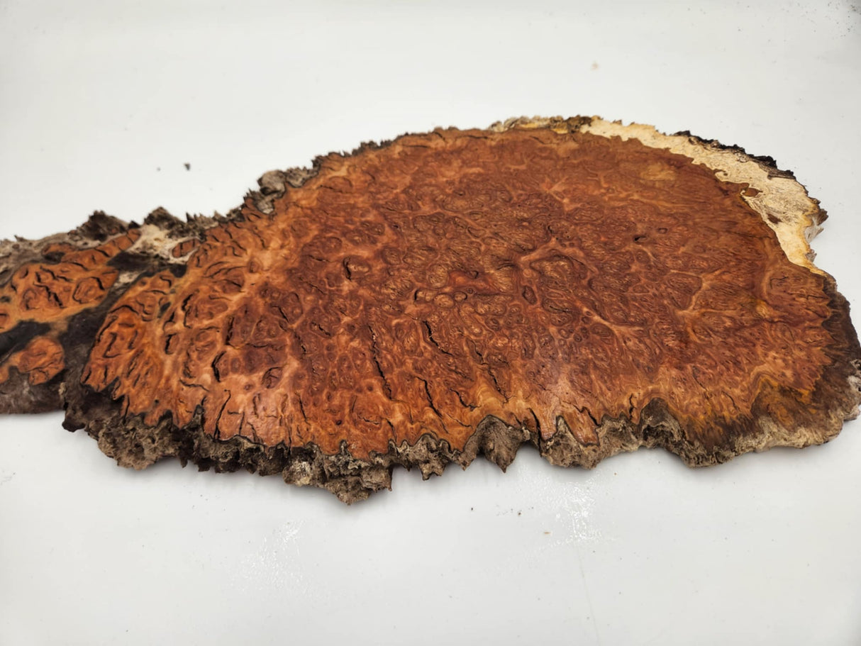 Red Coolibah Burl Slice 400mmx250mmx10mm