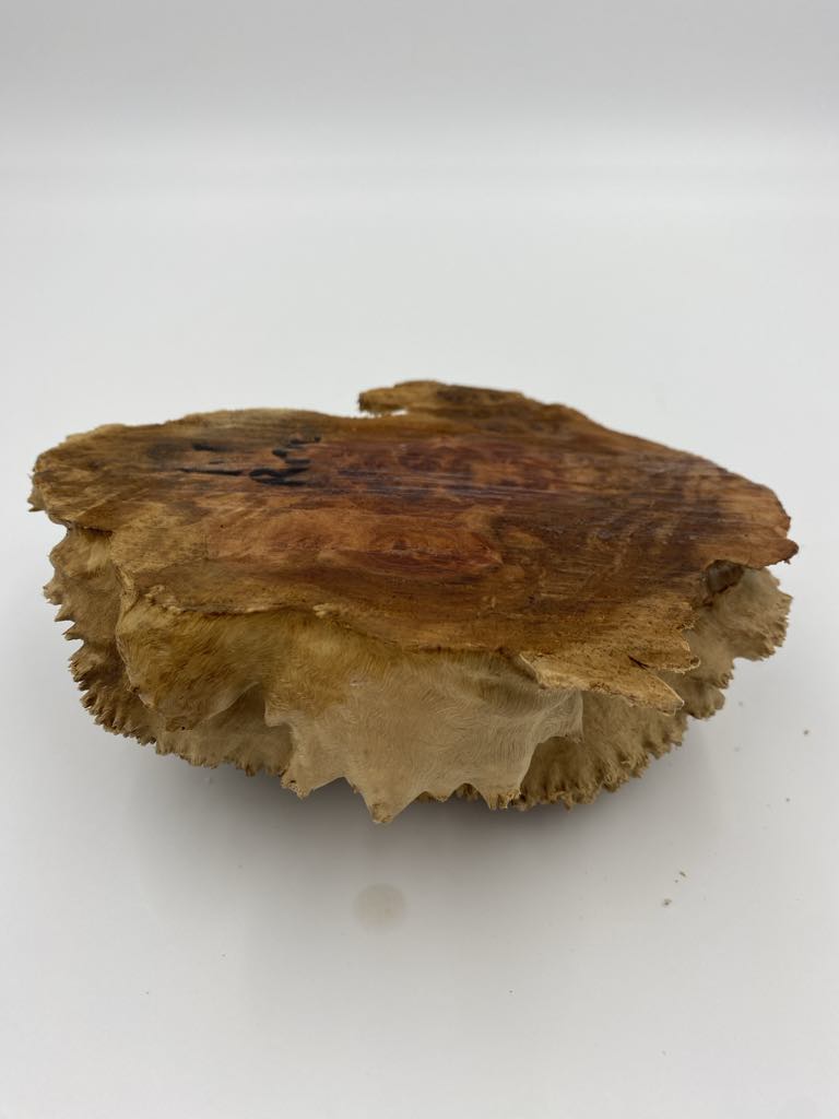 Red Mallee Burl 180 x 130 x 65mm