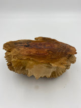 Red Mallee Burl 180 x 130 x 65mm