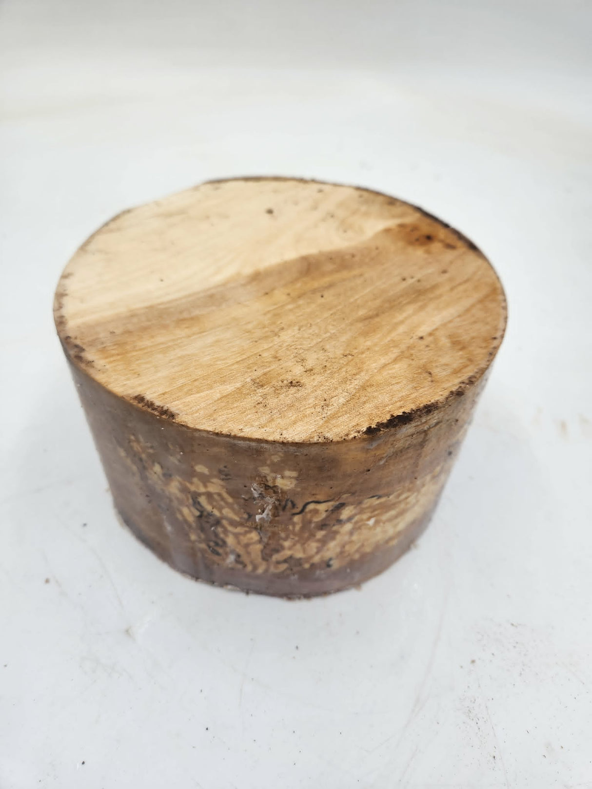 Silver Birch Bowl Blank 150mmx85mm