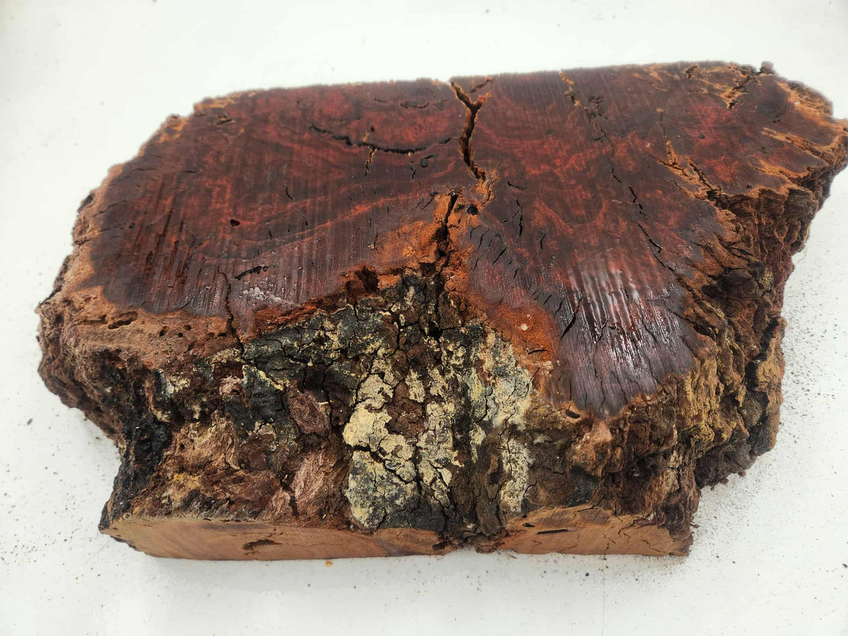 Red Gum Burl  Block 330x200x70