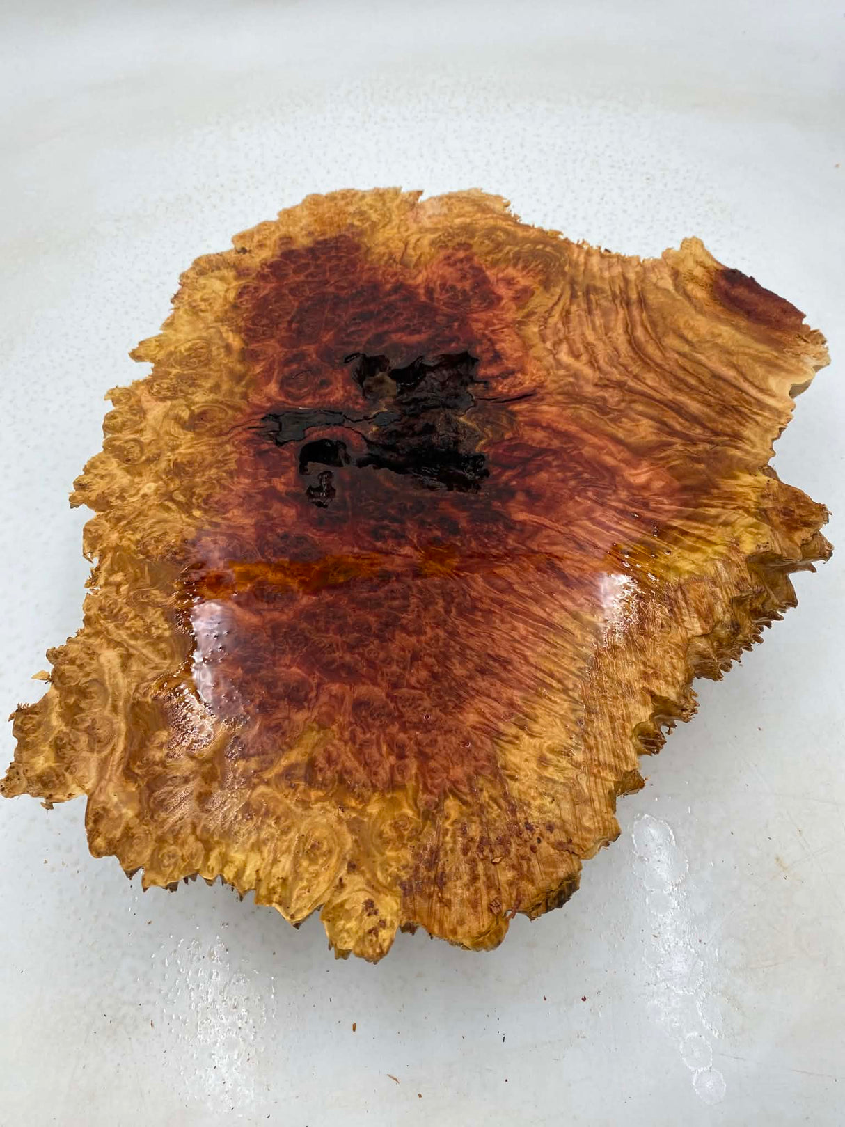 Red Mallee Burl 360 x 300 x 80mm