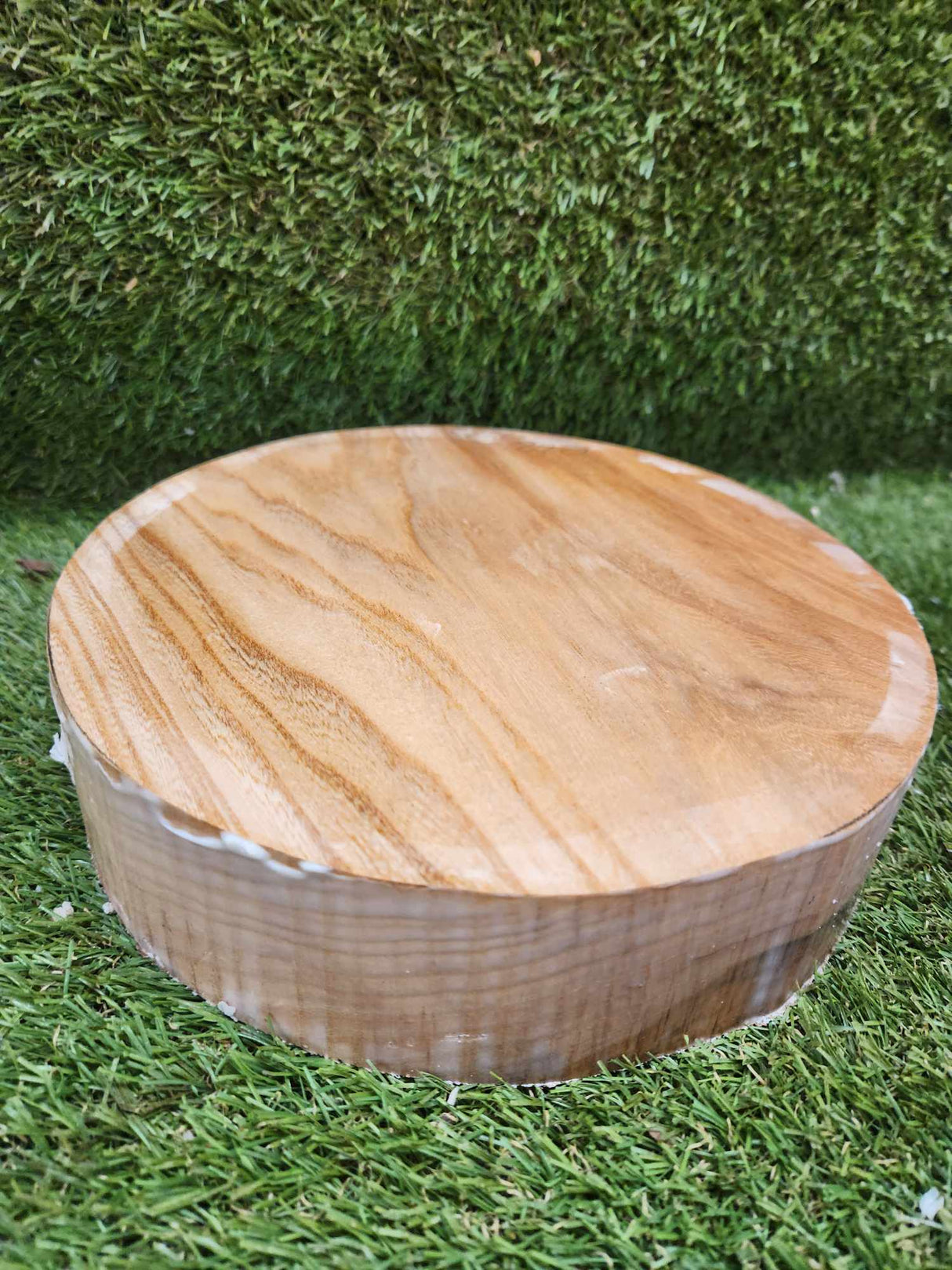 English Elm Bowl Blank 190 x 32mm